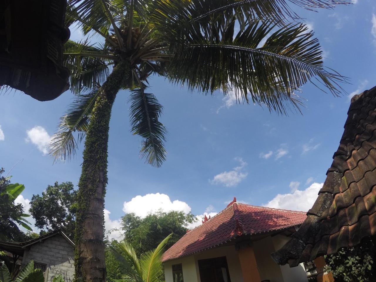 Dipa Home Stay Ubud Kültér fotó