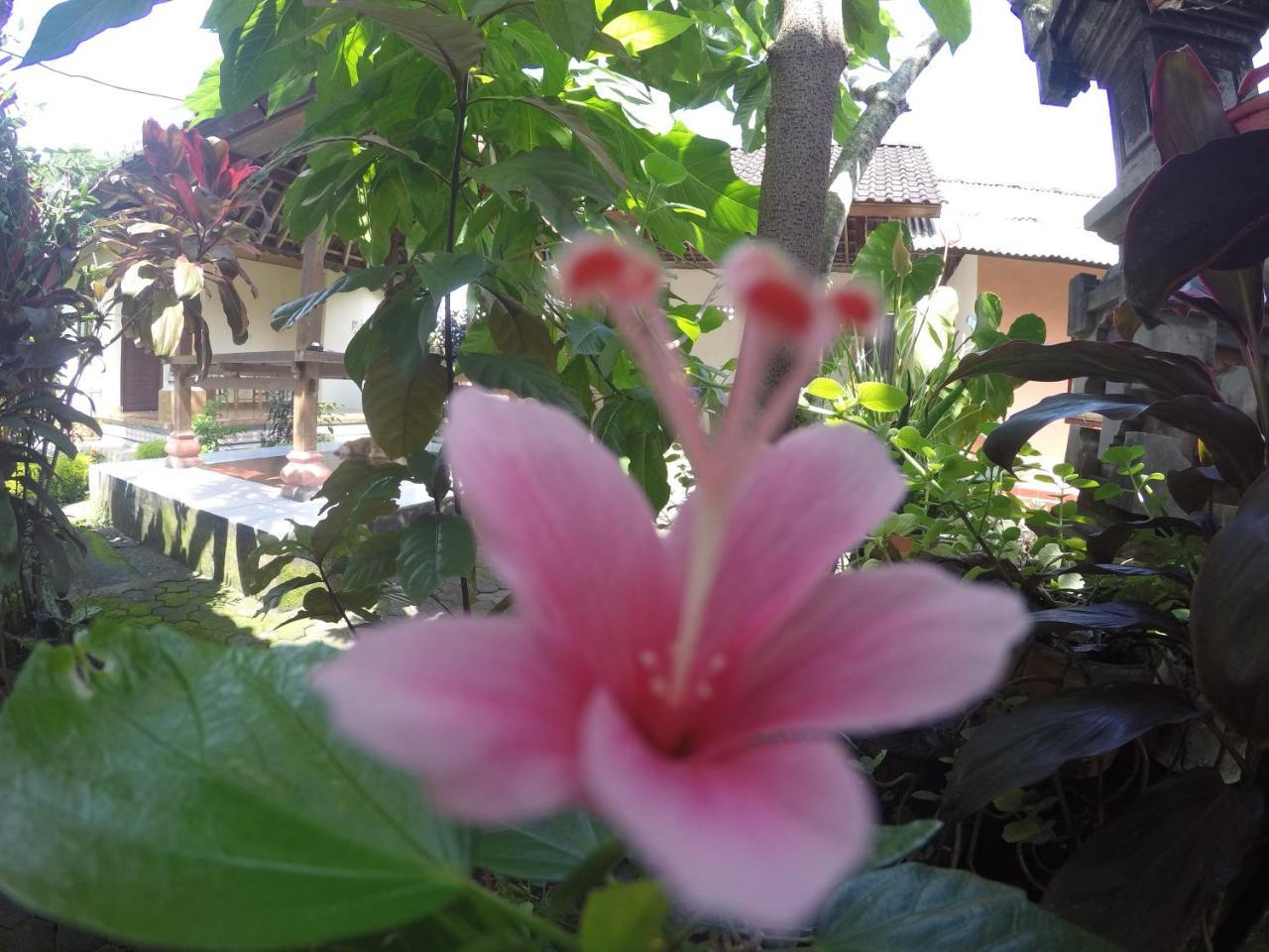 Dipa Home Stay Ubud Kültér fotó